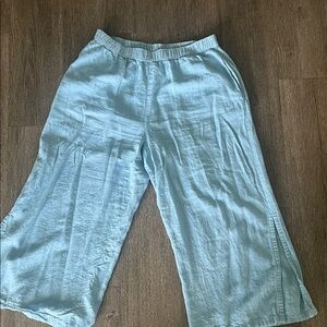 Patagonia Sky Blue Pants